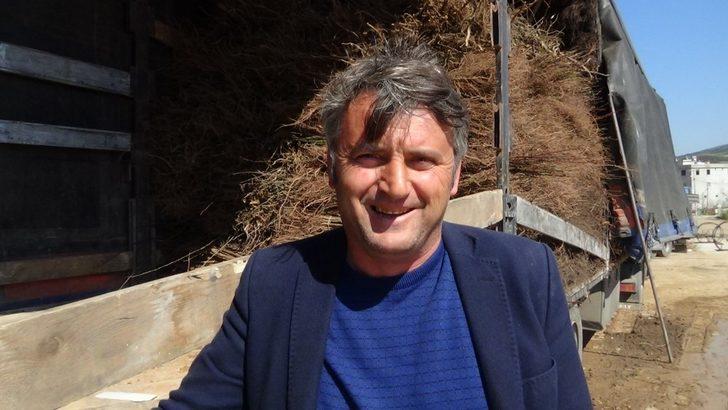 (Özel) Ceviz üretiminde büyük başarı: Günde 5 tır ihracat G2