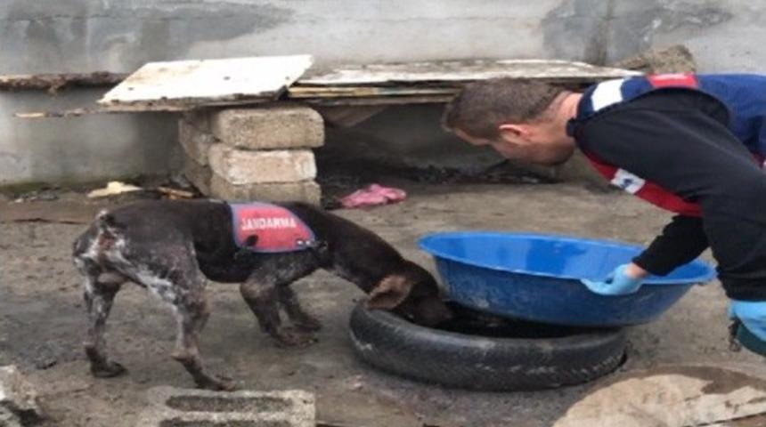 Iğdır&rsquo;da sigara ve alkol ka&ccedil;ak&ccedil;ılığı