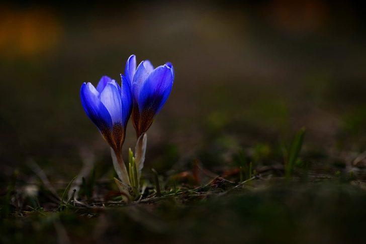  Karları eriten güzellik G5