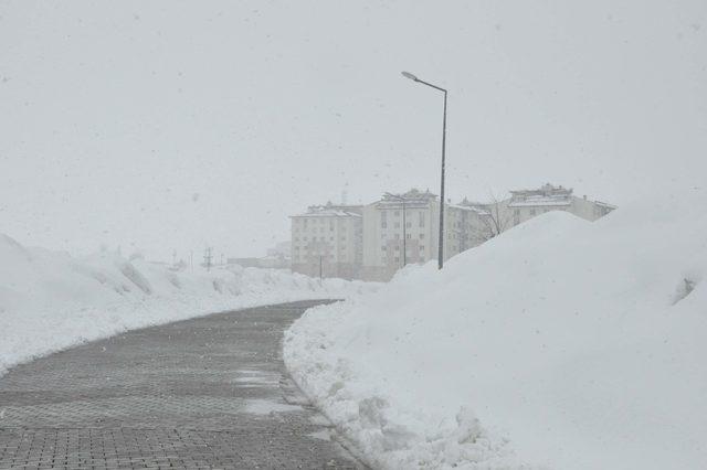 Bitlis'te 99 köy yolu ulaşıma kapandı