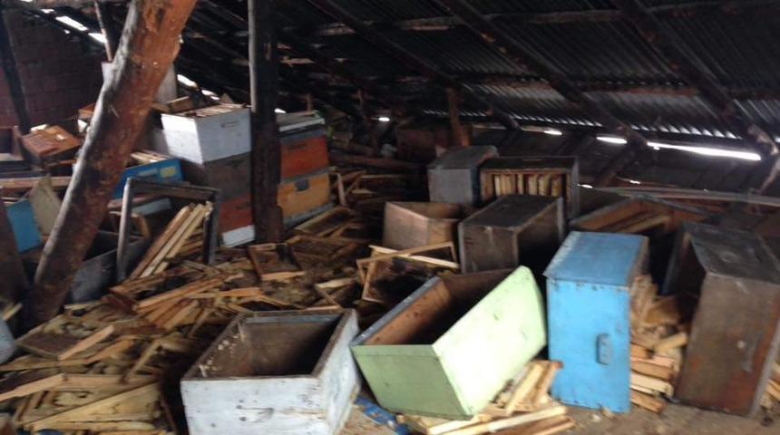 Trabzon&rsquo;da a&ccedil; kalan ayılar 10 eve girdi