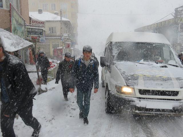 Van'da 14 yerleşimin yolu kardan kapandı