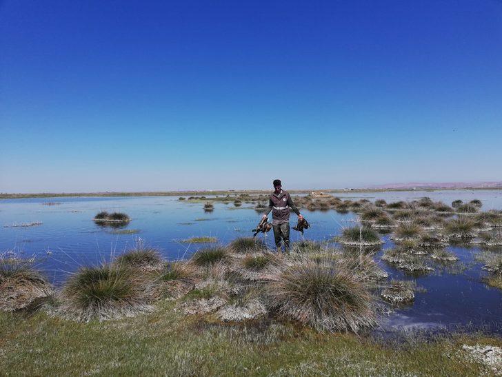 Aksaray'daki vahşete 10 bin lira ceza! G3