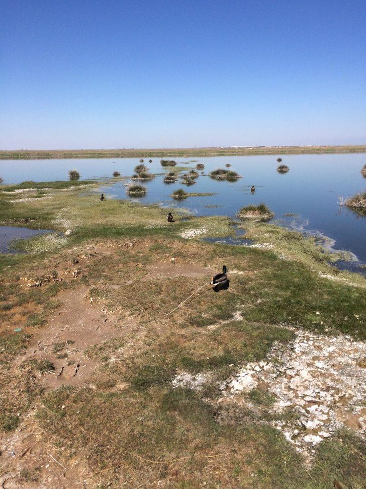 Aksaray'daki vahşete 10 bin lira ceza! G2