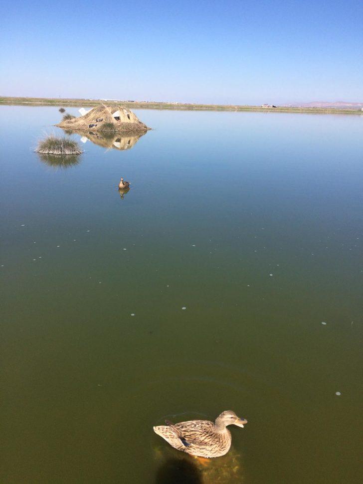 Aksaray'daki vahşete 10 bin lira ceza! G1