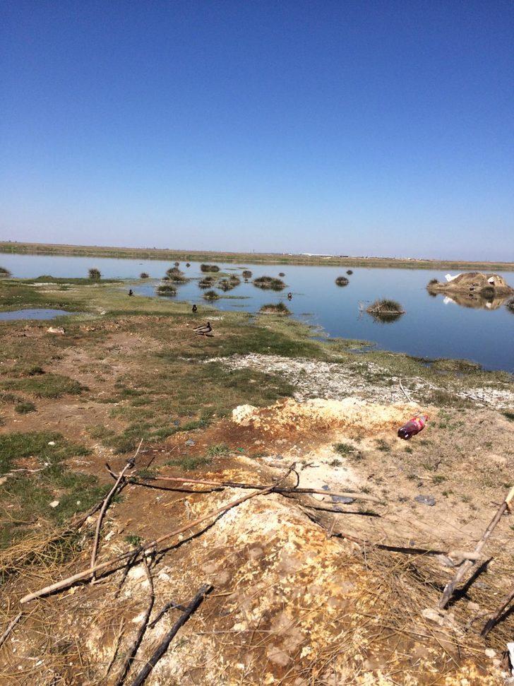 Aksaray'daki vahşete 10 bin lira ceza! G5