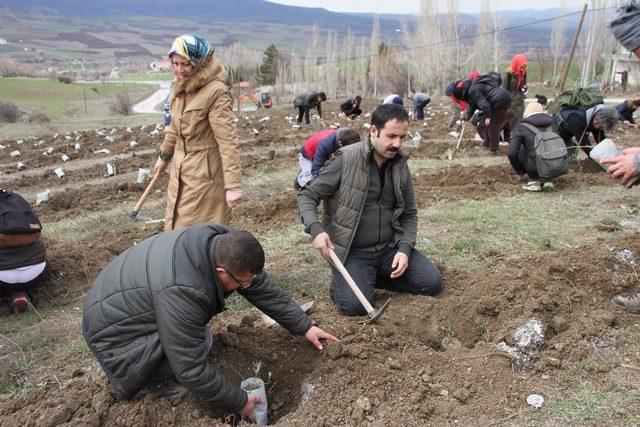 Hititlerin en kutsal tapınağına lavanta bahçesi