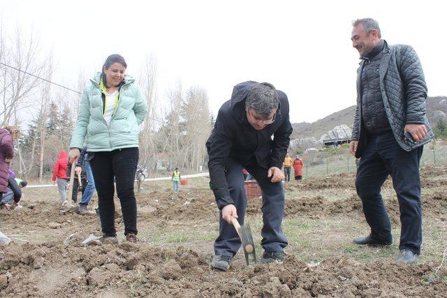 Hititlerin en kutsal tapınağına lavanta bahçesi