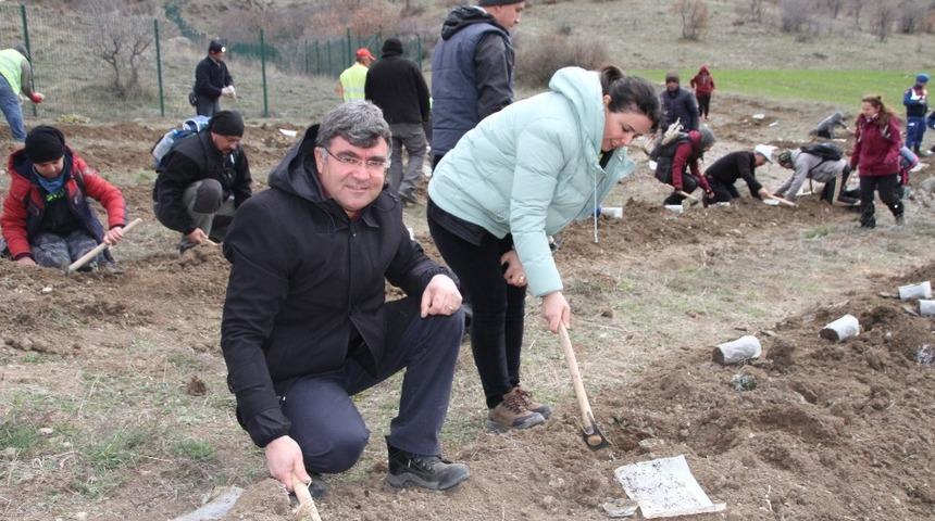 Hititlerin en kutsal tapınağına lavanta bahçesi