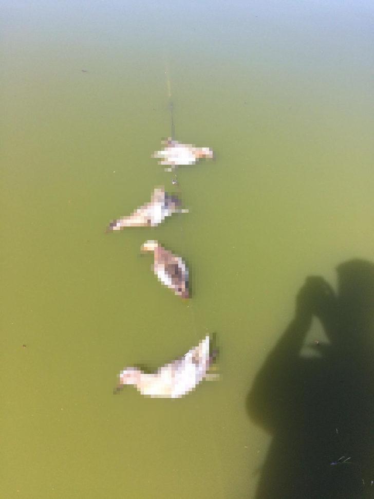 Aksaray'daki vahşete 10 bin lira ceza! G4