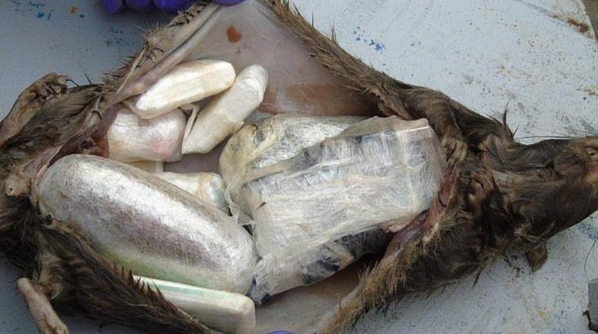 Hapishaneye &ouml;l&uuml; sı&ccedil;an i&ccedil;inde uyuşturucu sokuldu