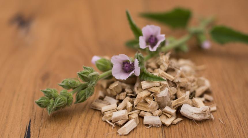 Boğaz ağrısına ne iyi gelir? Yutkunamıyorum diyenler için boğaz ağrısına iyi gelen evde doğal çözümler