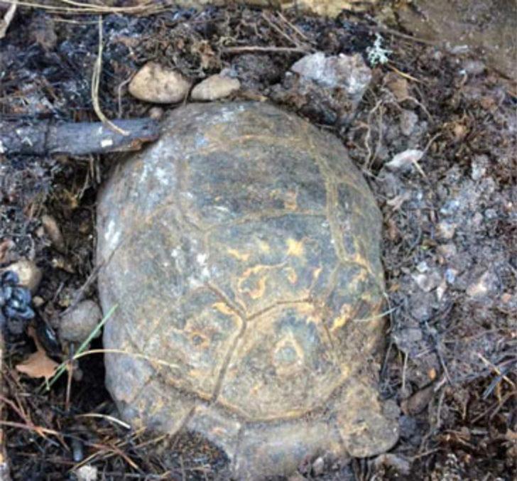 Isparta'da şoke eden anlar!  G2