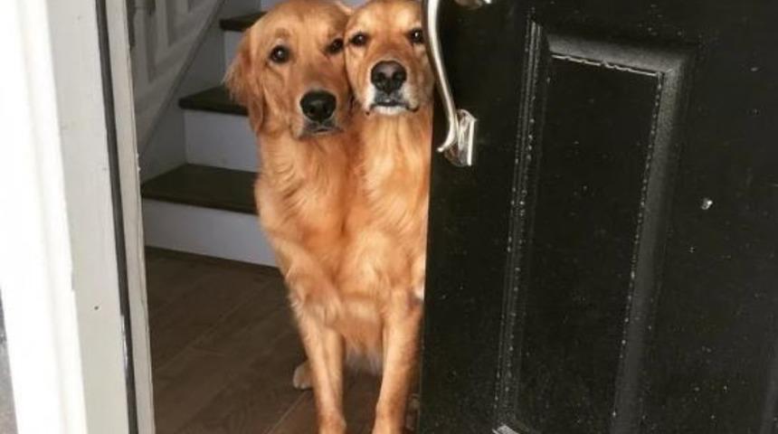 Beyninizin kıvrımlarını zorlayacak 15 ilgin&ccedil; g&ouml;rsel...