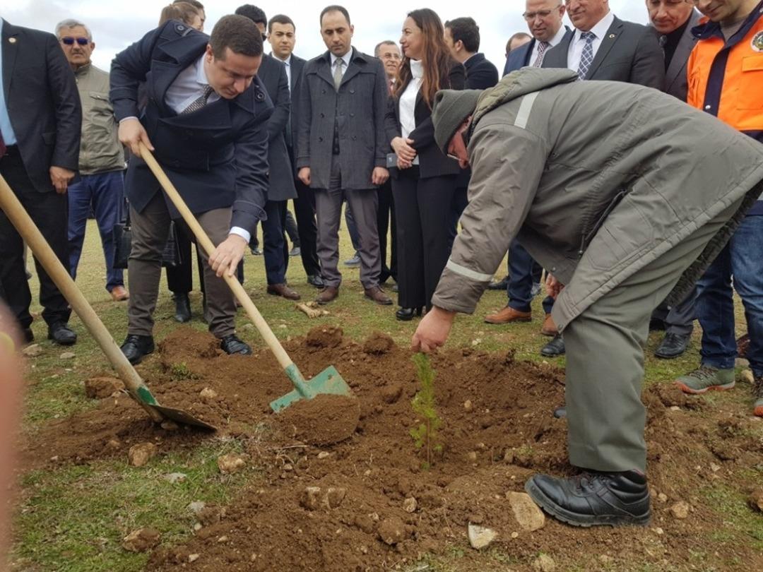 Vezirk&ouml;pr&uuml;&rsquo;de &lsquo;Adalet Ormanı&rsquo;na 500 fidan