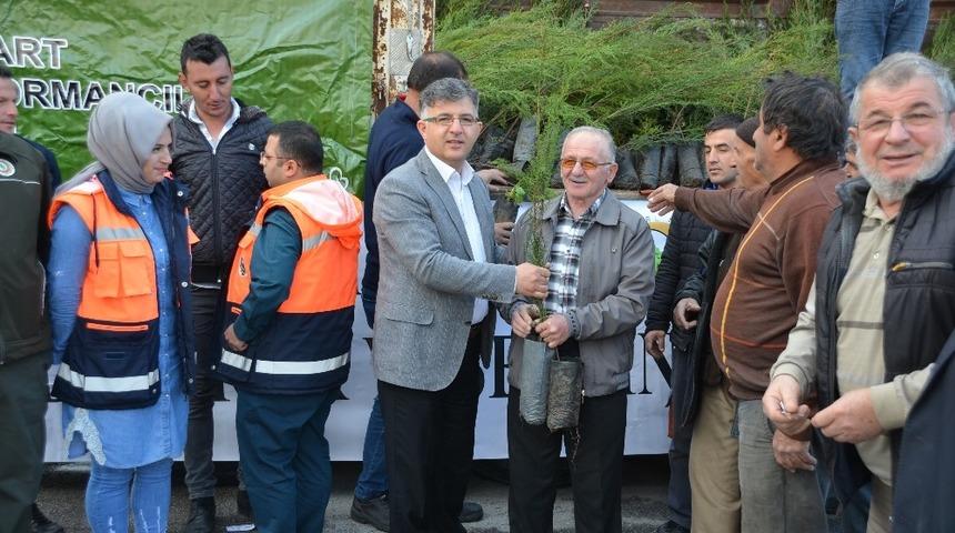 Kargı&rsquo;da 4 bin fidan dağıtıldı