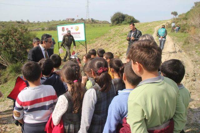 Kuşadası’nda Adalet Ormanı için fidan dikimi yapıldı