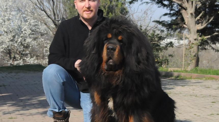 Yetiştirdiği k&ouml;pekler 150 bin liraya kadar alıcı buluyor