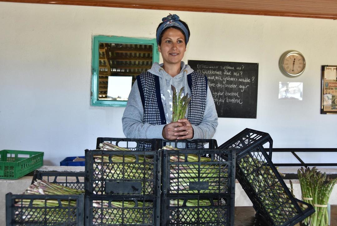 Kuşkonmaz &uuml;retiminde 'iyi tarım' sertifikası ile b&uuml;y&uuml;k mağazalara girdi  