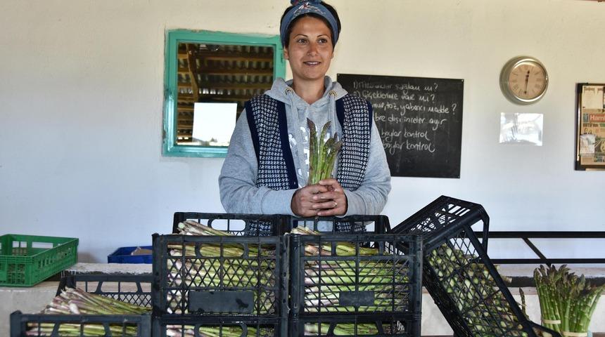 Kuşkonmaz üretiminde 'iyi tarım' sertifikası ile büyük mağazalara girdi