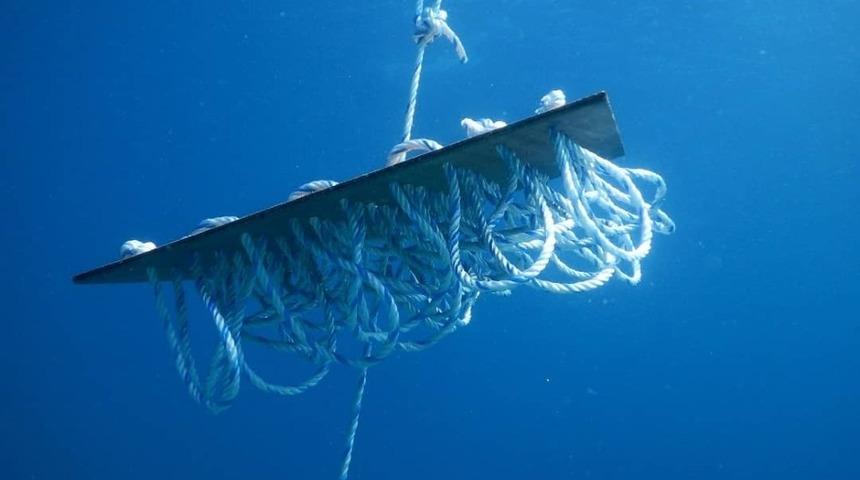 &Ccedil;eşme&rsquo;de kalamarlara yapay yuva