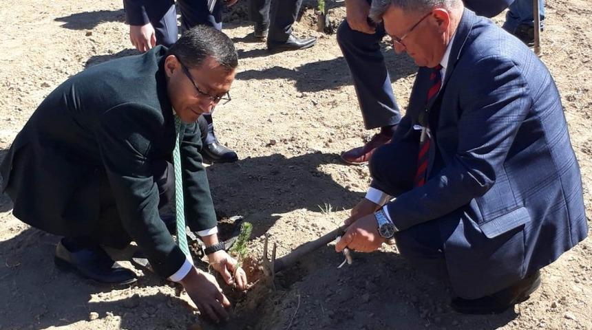 Alaşehir&rsquo;de Orman Haftası kutlandı