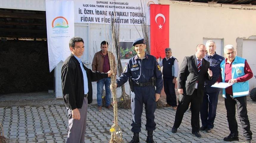 Şaphane&rsquo;de 8 &uuml;reticiye bin 250 adet muşmula fidanı dağıtıldı