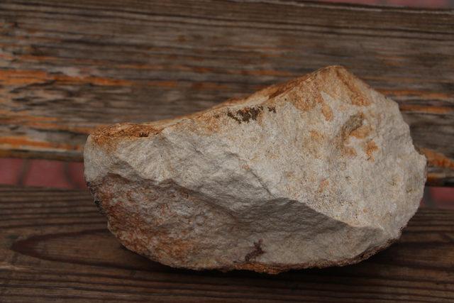 cudide-12-milyon-yillik-oldugu-belirtilen-salyangoz-fosili-bulundu_8296_dhaphoto2