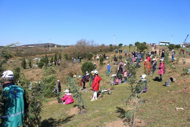 Gebze’de öğrenciler 2 bin 500 fidanı toprakla buluşturdu