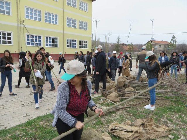 Pazarlar MYO’da ağaçlandırma çalışmaları