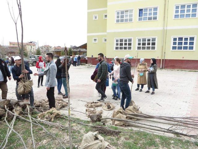 Pazarlar MYO’da ağaçlandırma çalışmaları