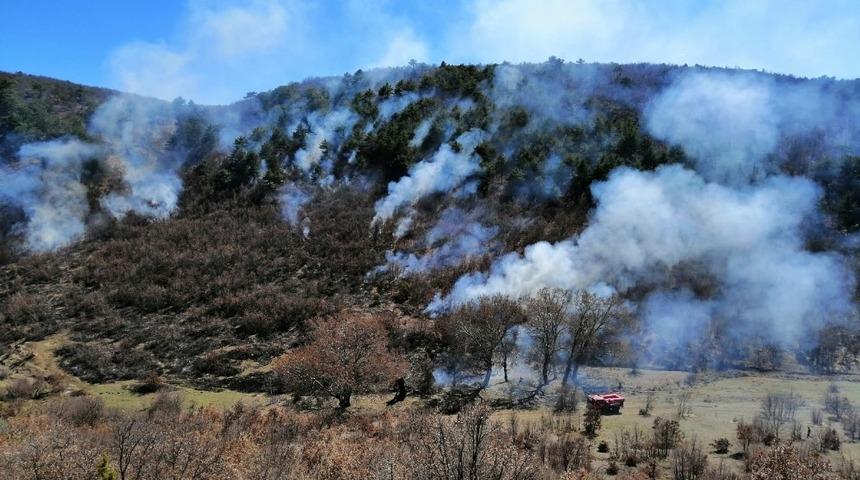 Seyitgazi Yarbasan&rsquo;da orman yangını