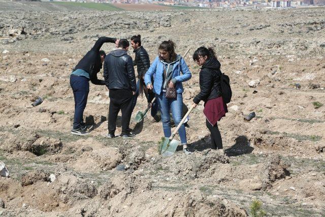 Odunpazarı Belediyesi Ahbap Derneği ile 2  bin 500 fidan dikti