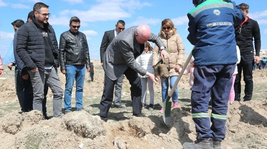 Odunpazarı Belediyesi Ahbap Derneği ile 2  bin 500 fidan dikti