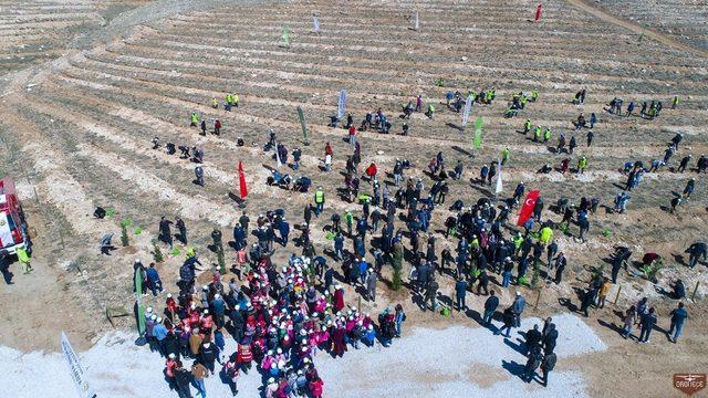 SÜ’de “Orman Haftası ve Ağaç Bayramı” kutlandı