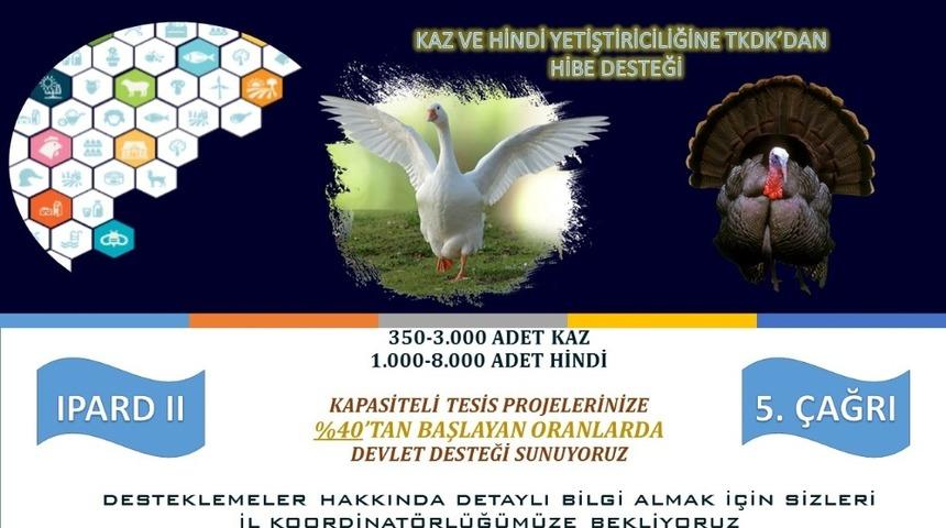 Muş&rsquo;ta kanatlı hayvan yetiştiriciliğine devlet desteği
