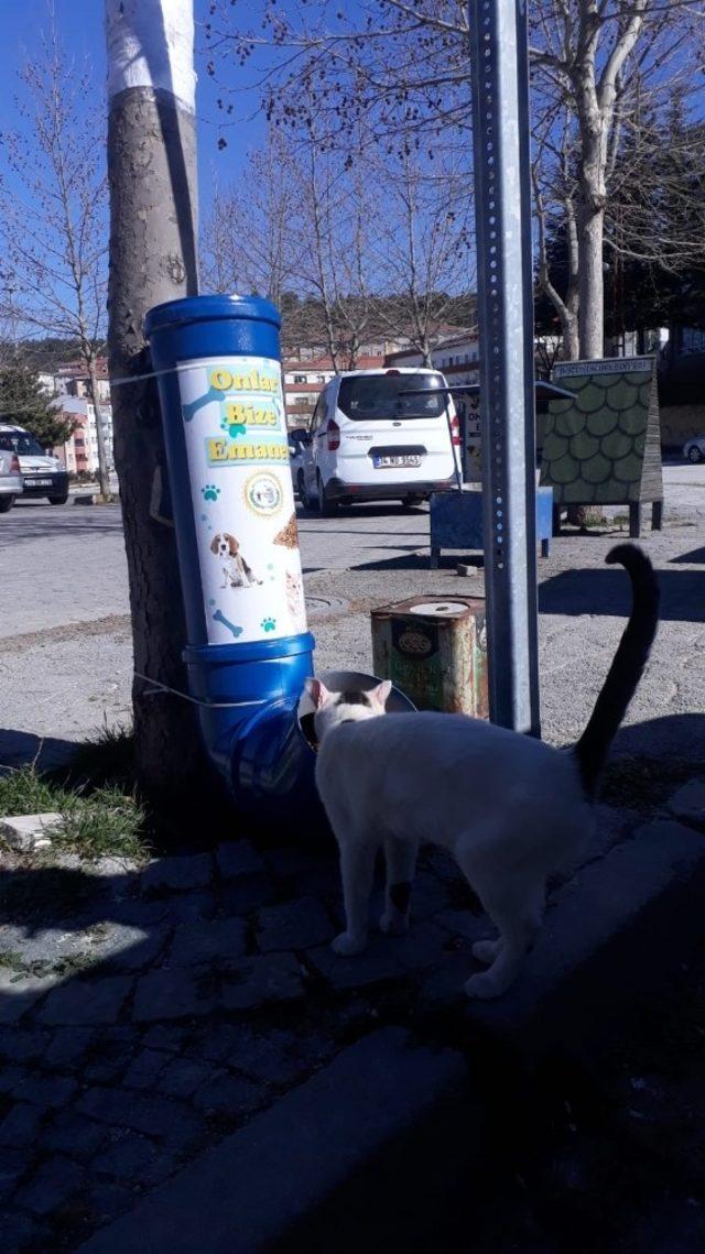 Bozüyük’te mama kapları yenilendi