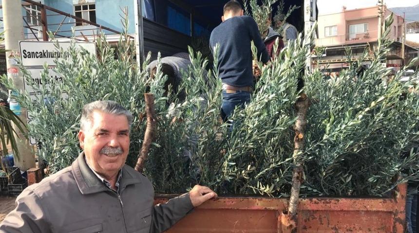 Şehzadeler Ziraat Odası&rsquo;ndan &uuml;reticilere 35 bin zeytin fidanı