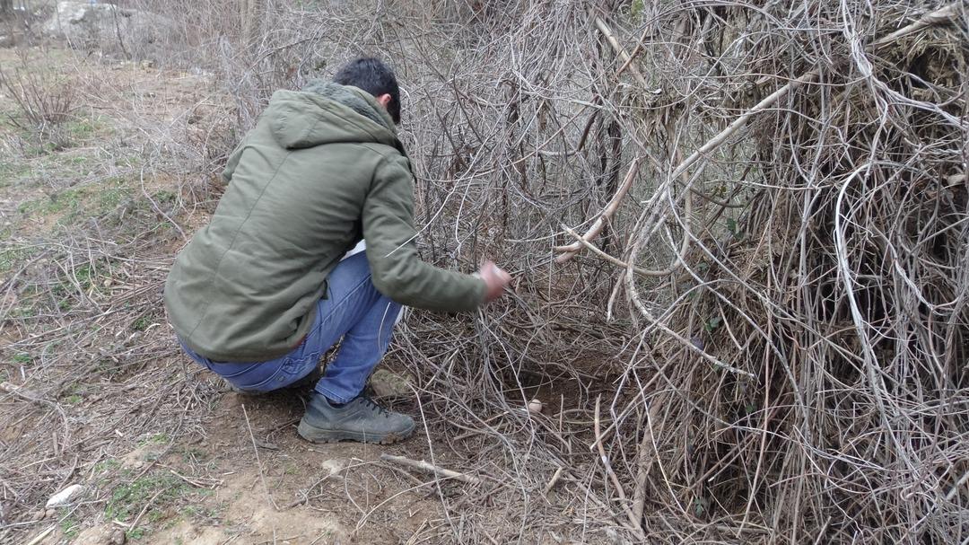 Kendi imkanlarıyla organik tavuk &ccedil;iftliği kurdu