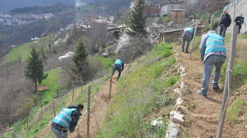 Artvin&rsquo;de y&uuml;k&uuml;ml&uuml;lerden fidan dikim ve bakım &ccedil;alışması