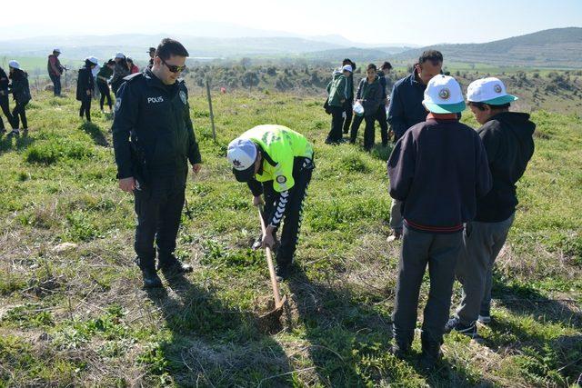 Yüzlerce fidan toprakla buluştu