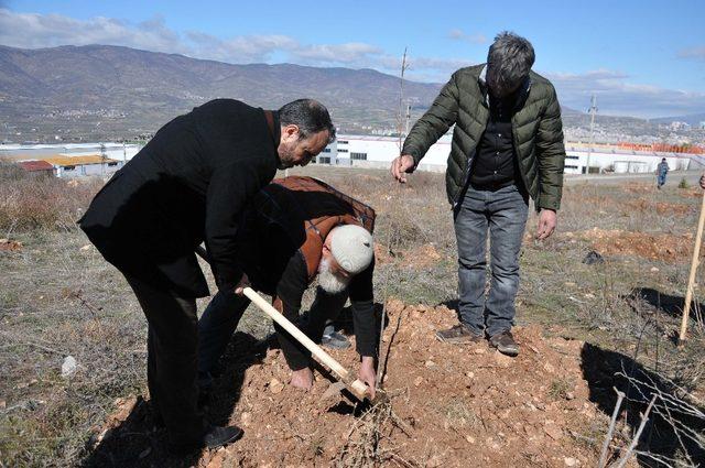 Tokat Sağlık Müdürlüğünden fidan dikme etkinliği