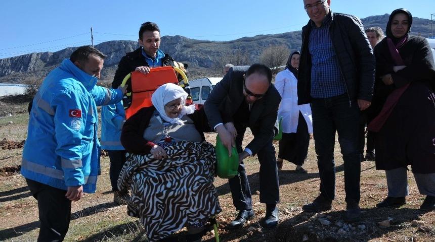 Tokat Sağlık M&uuml;d&uuml;rl&uuml;ğ&uuml;nden fidan dikme etkinliği