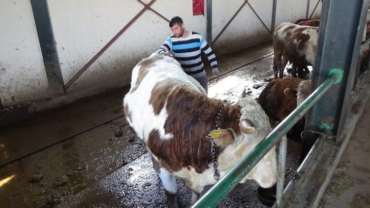 Muş’ta tarım ve hayvancılık TKDK ile büyüyor G2