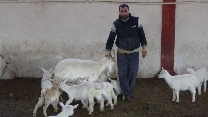 Muş’ta tarım ve hayvancılık TKDK ile büyüyor G3