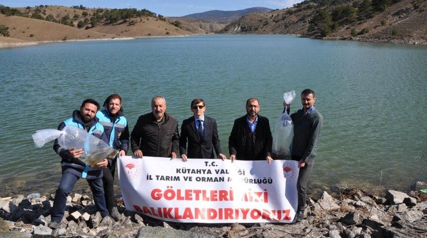 K&uuml;tahya&rsquo;da 43 g&ouml;l ve g&ouml;lede 400 bin yavru sazan balığı bırakıldı