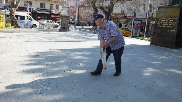 Burhaniye’de bayat ekmekler güvercinlere yem oldu