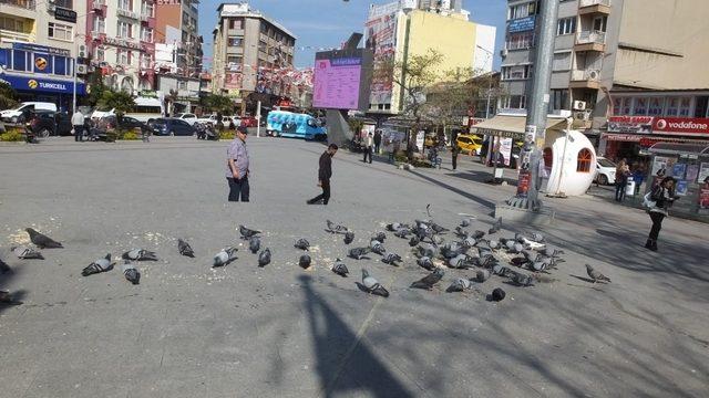 Burhaniye’de bayat ekmekler güvercinlere yem oldu