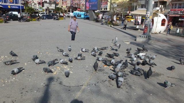 Burhaniye’de bayat ekmekler güvercinlere yem oldu