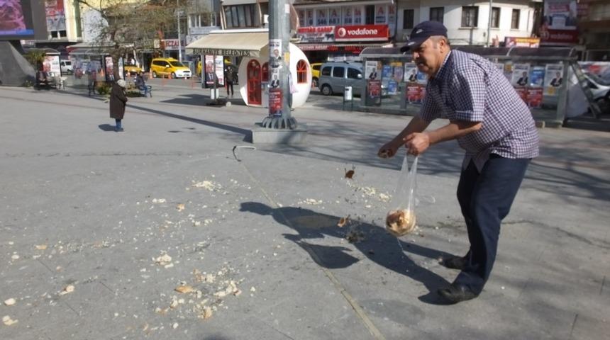 Burhaniye&rsquo;de bayat ekmekler g&uuml;vercinlere yem oldu